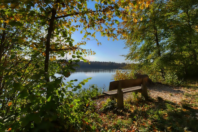 战术体系的 战术体系的