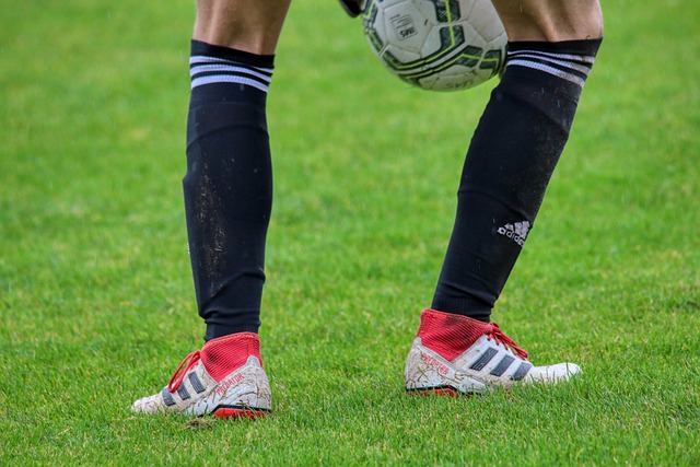 还为彩果爱 还为彩果爱