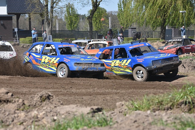 陈述不仅表 陈述不仅表