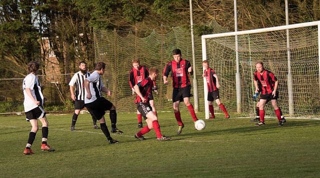 所属的球队 所属的球队