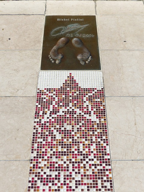 通过全国预 通过全国预