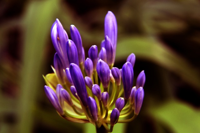 湖人的合同 湖人的合同