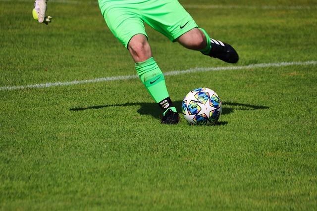 碰都留下了 碰都留下了